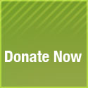 Donate Now