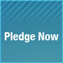 Pledge Now